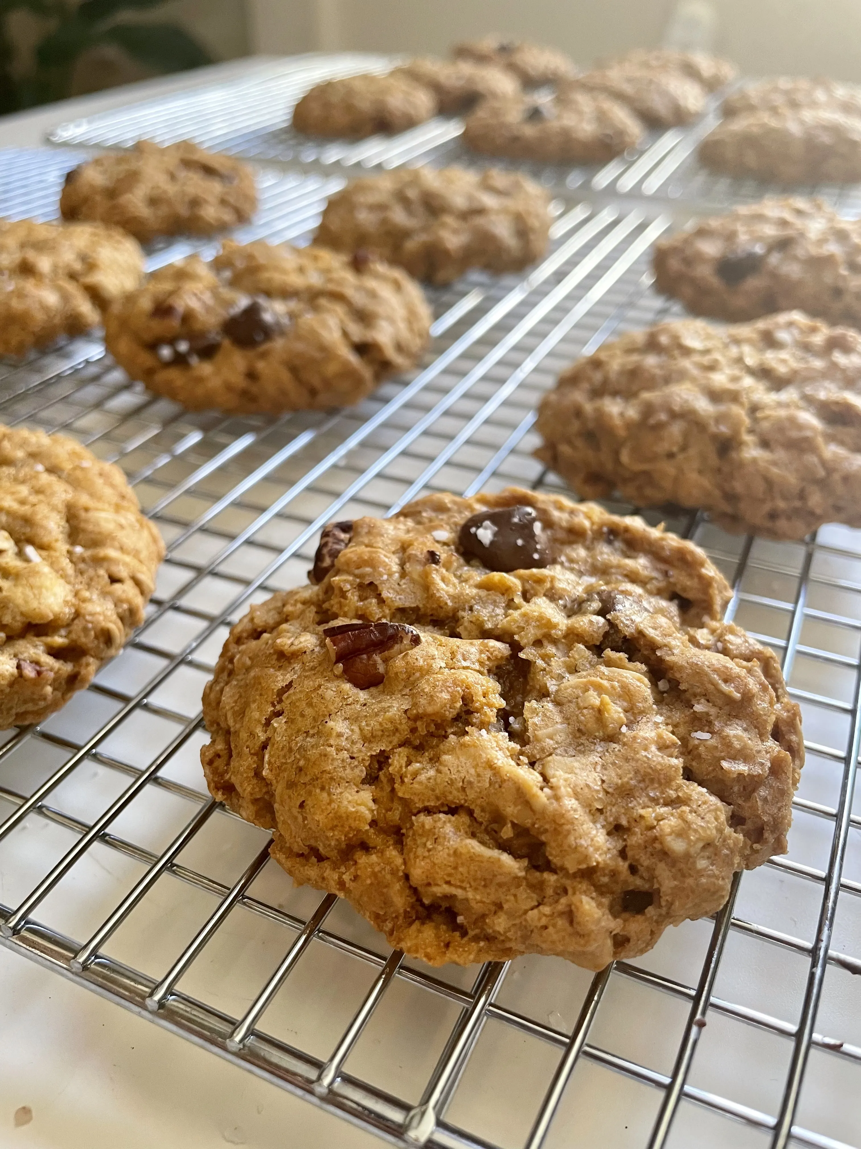 Brown Butter Oatmeal Chocolate Chip Cookies