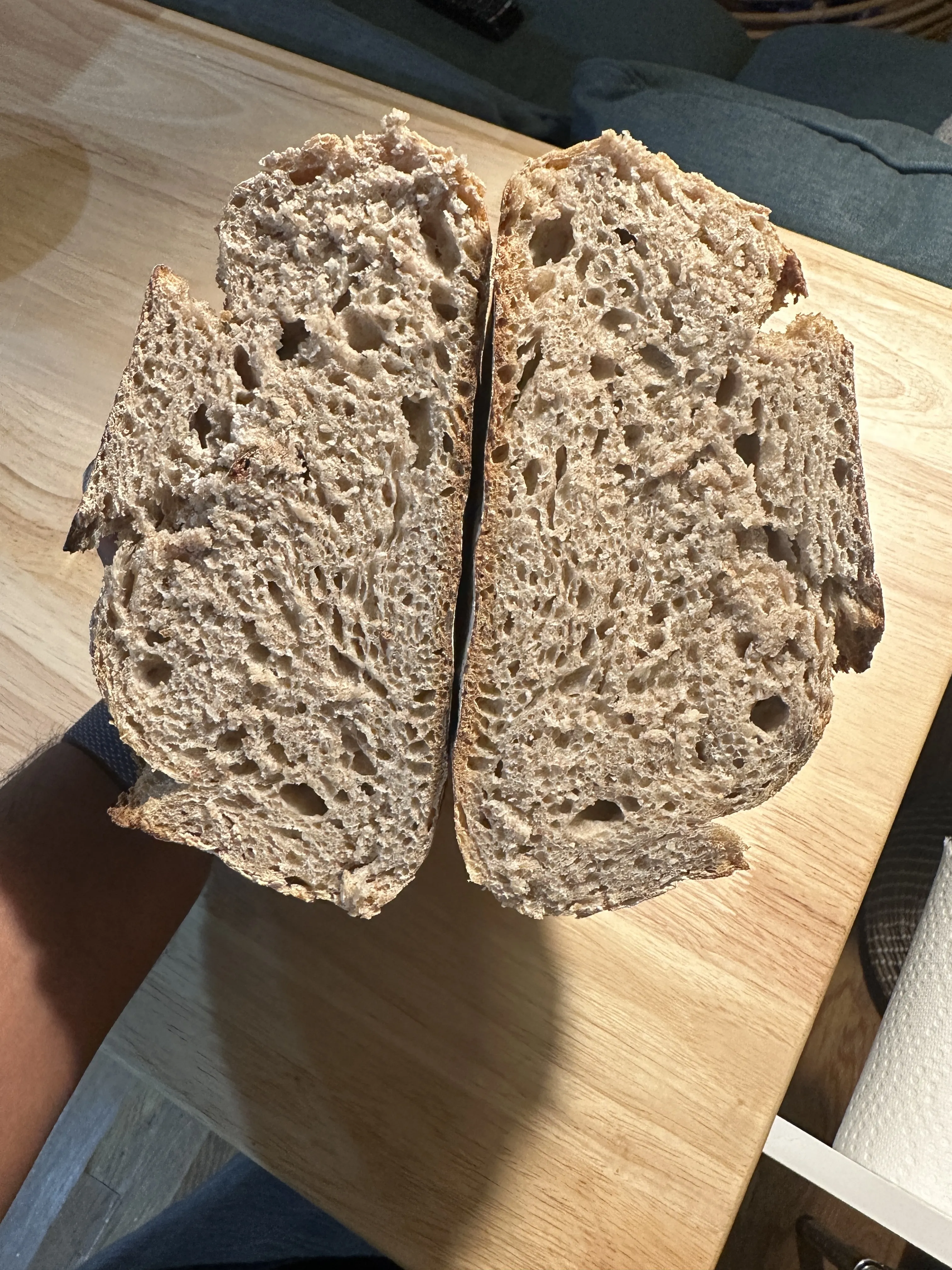 Sourdough Crumb View