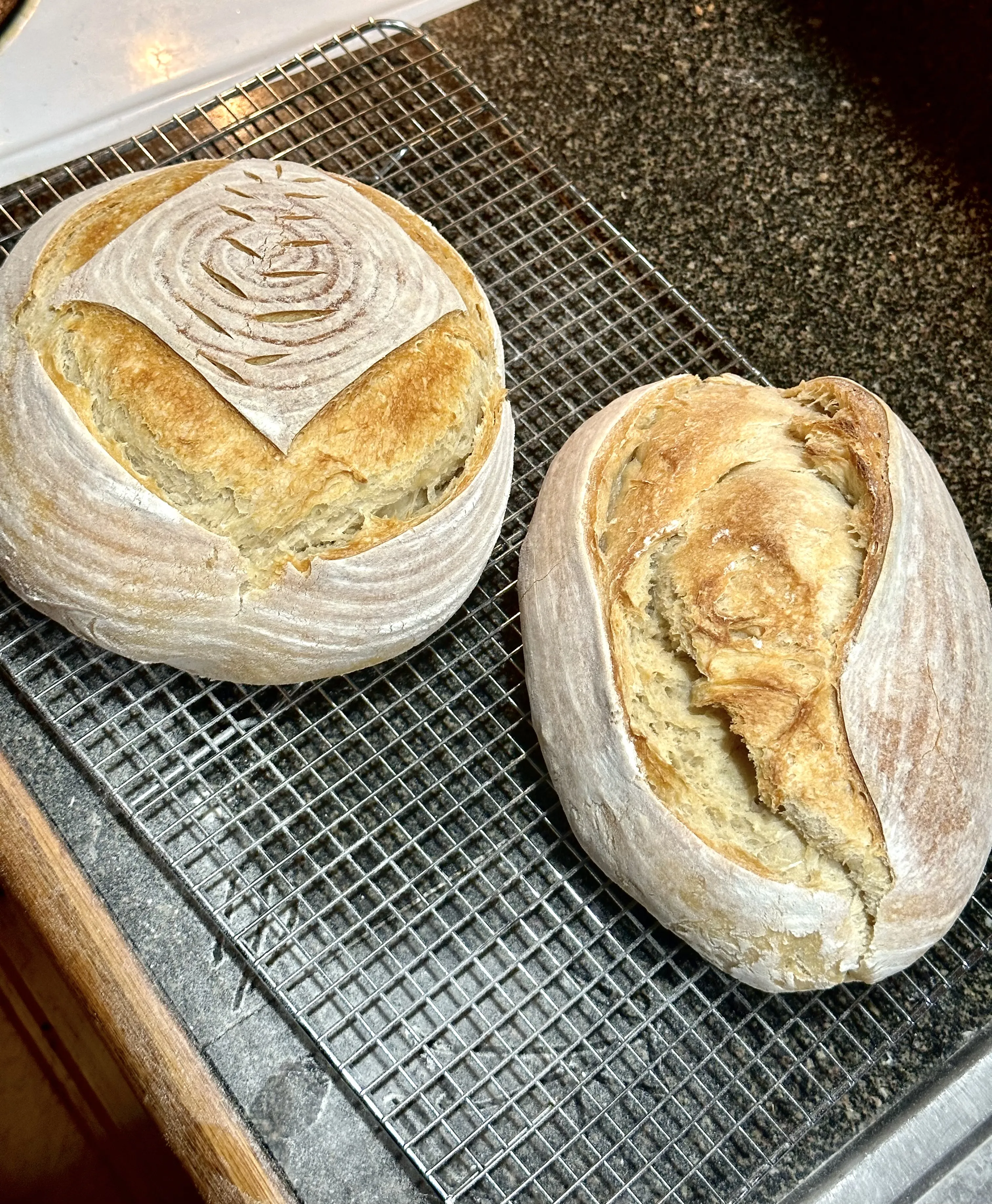 Couple of my first sourdoughs