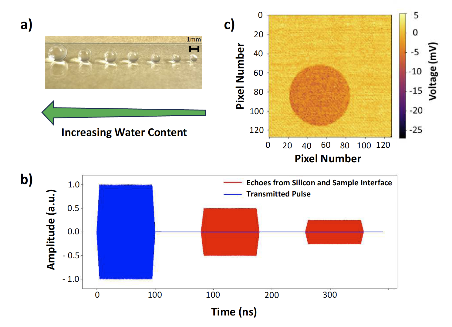 Noninvasive Hydrogel Publication
