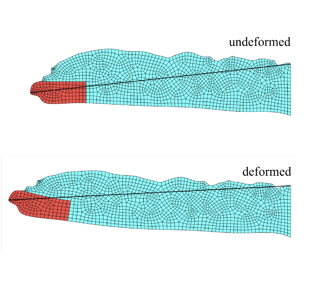 Image Based InverseModeling Pub